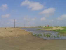 Holly Beach