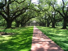 Oak Alley