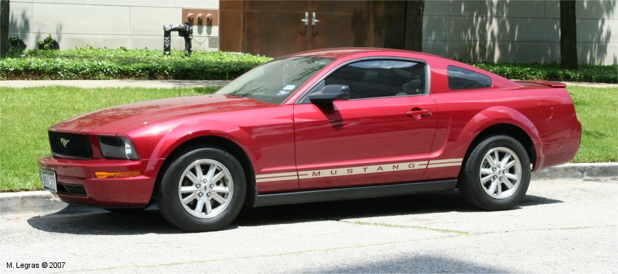 Mustang